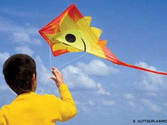 A child flying a kite

Description automatically generated with medium confidence
