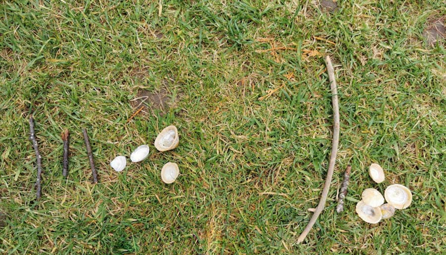using nature to represent numbers 
