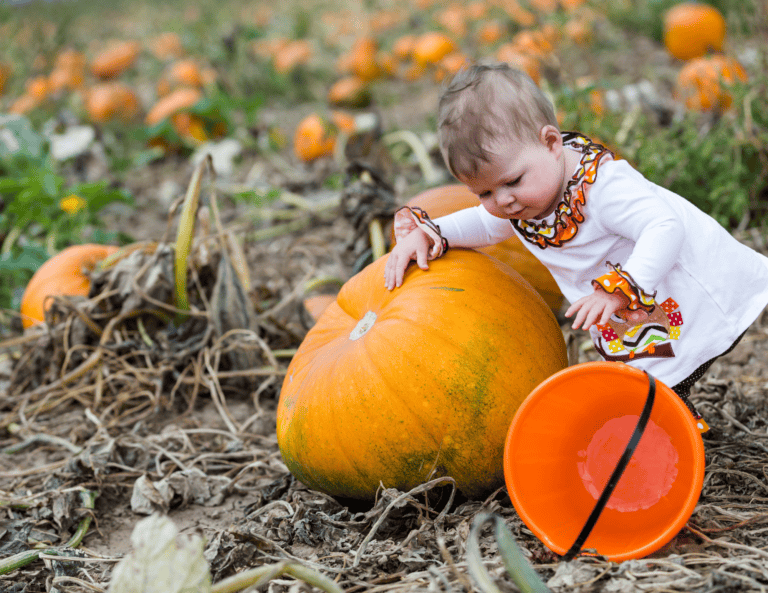 Baby at the pumpkin patch celebrating their first fall.