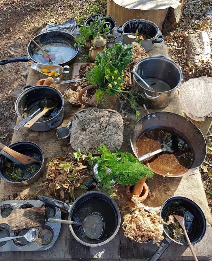 This may contain: many pots and pans are set up on a table outside in the woods with plants growing out of them