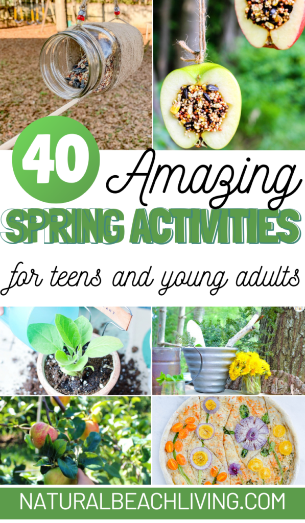 200 Fun Things To Do Outside, The Best Outdoor Activities for Kids, Teens and Adults, Try Making a homemade birdfeeder, DIY Obstacle Course, Gardening, scavenger hunt, picnic, backyard activities, and more 