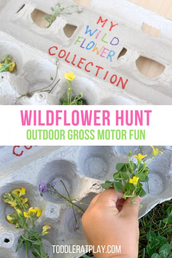 wildflower hunt- toddler at play (8)
