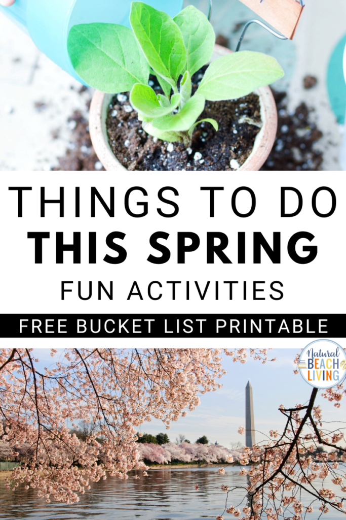 200 Fun Things To Do Outside, The Best Outdoor Activities for Kids, Teens and Adults, Try Making a homemade birdfeeder, DIY Obstacle Course, Gardening, scavenger hunt, picnic, backyard activities, and more 