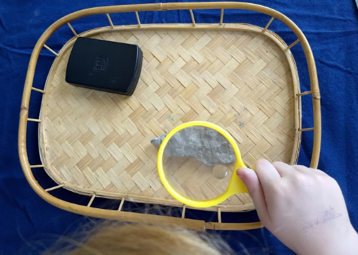 using magnifying glass to inspect fossil