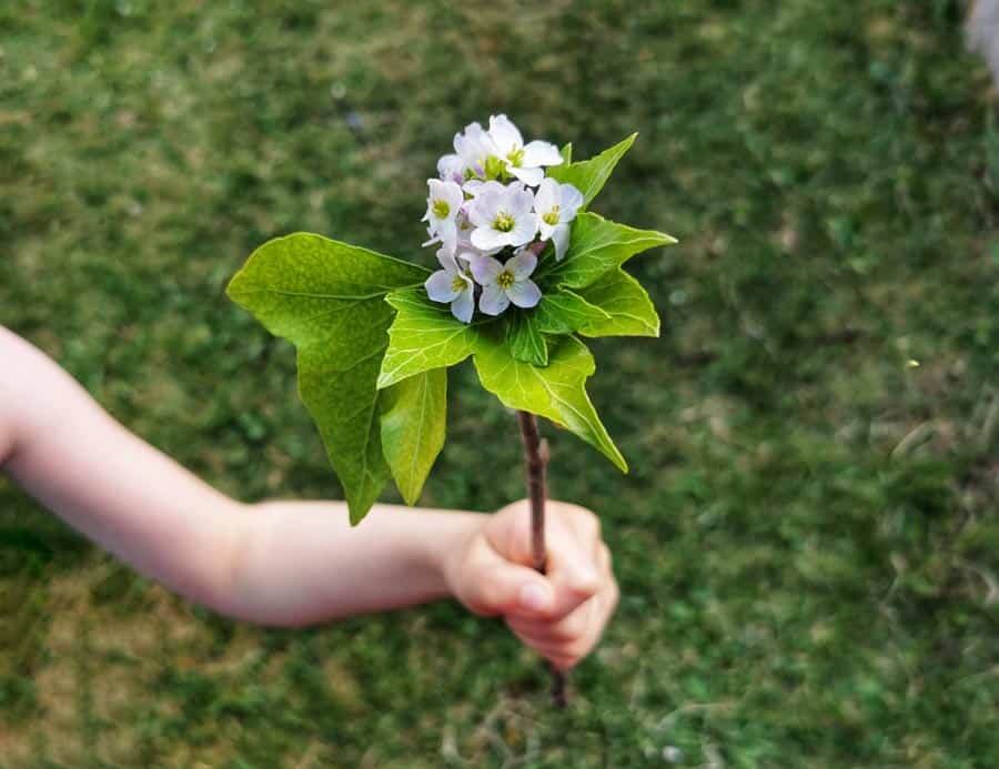 Nature want made of a stick, flowers and leaves