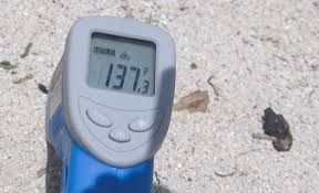 Heat wave in Miami, Broward has beach ...