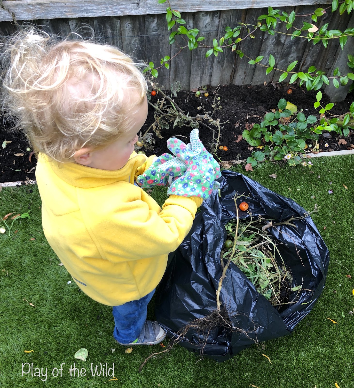 Growing Tomatoes with Children. Outdoor Autumn & Winter Garden Activities for Children