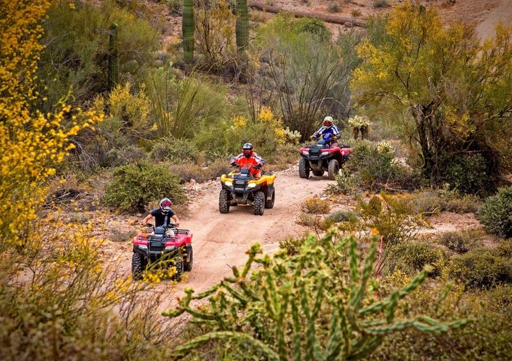 This may contain: four people on four wheelers riding through the desert with cactus trees in the background