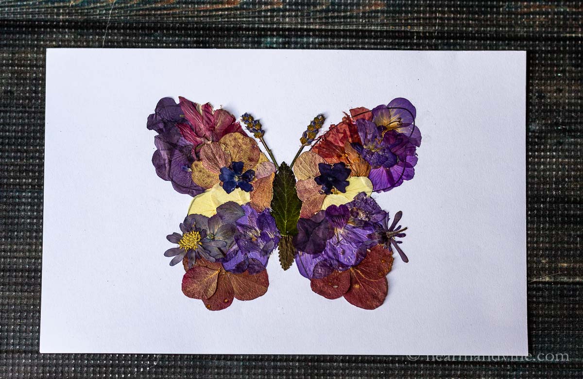 The completed pressed flower butterfly on white paper.