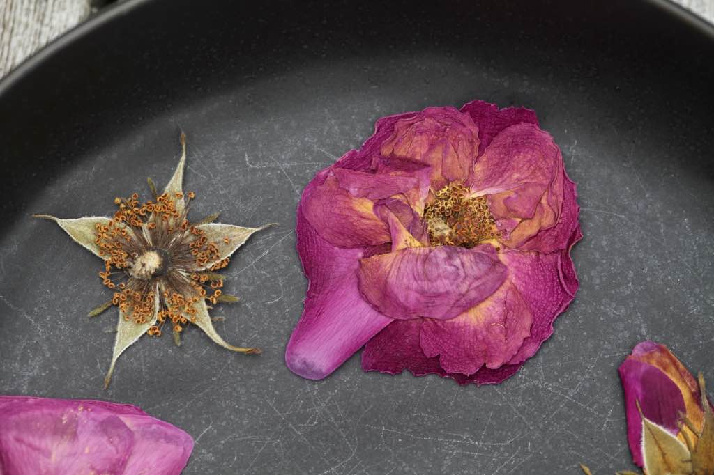 dried roses