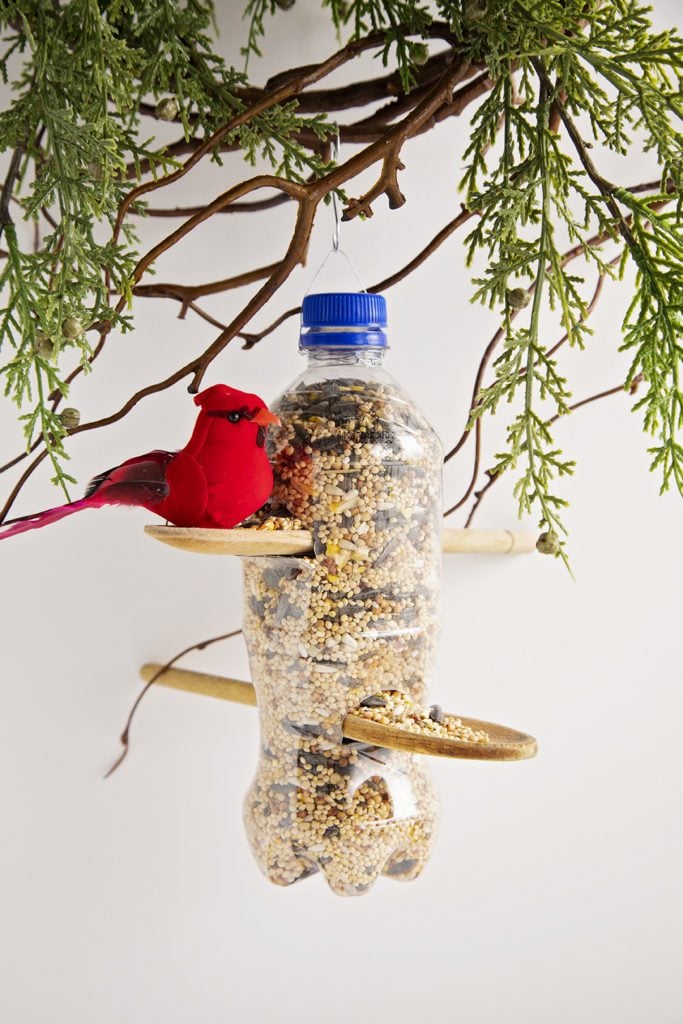 Recycled plastic bottle bird feeder filled with bird seed hanging from branches, and a red bird.