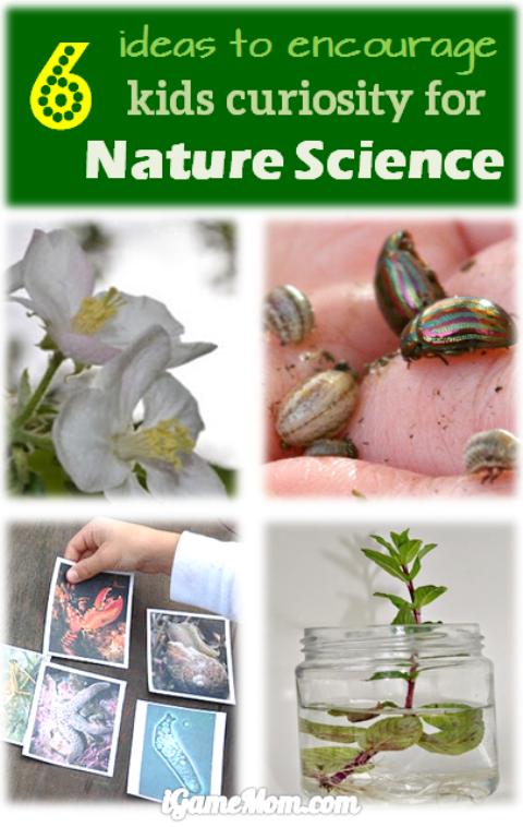 encourage kids curiosity nature science