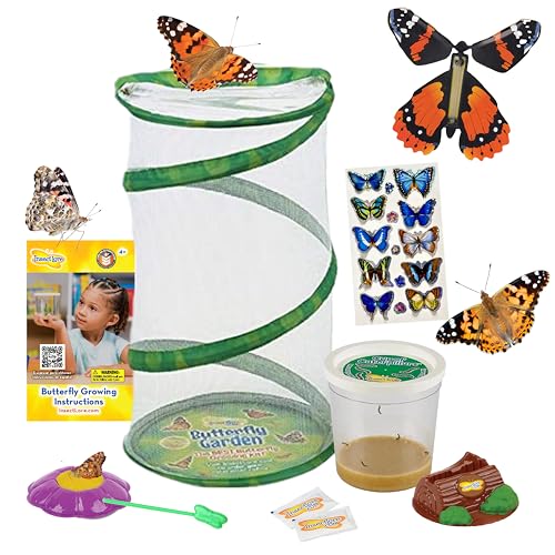 Insect Lore Butterfly Garden Gift Set | 8