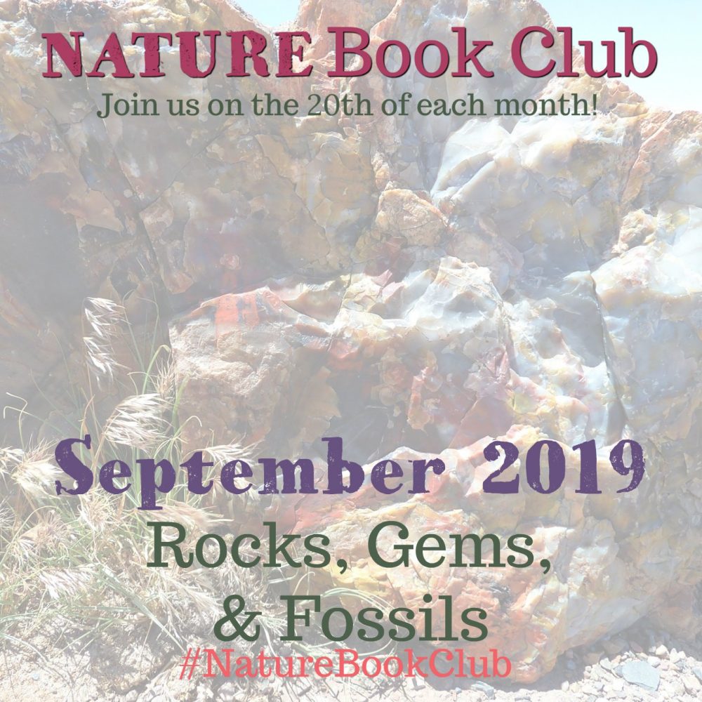 Rocks, gems and fossils nature book club