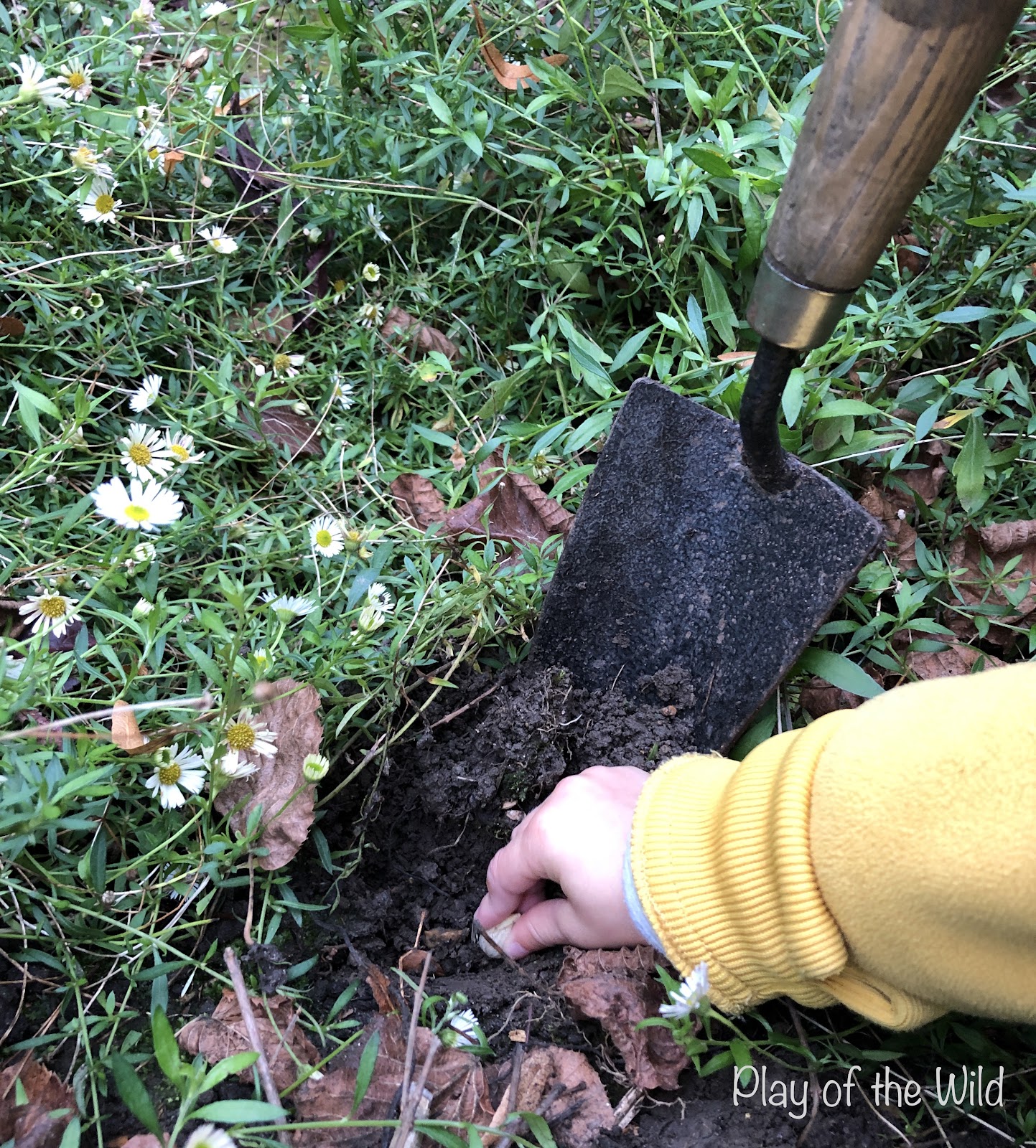 Outdoor Autumn & Winter Garden Activities for Children. Planting bulbs with kids.