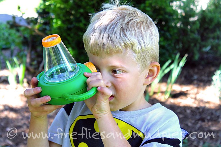Exploring nature. | Fireflies and Mud Pies