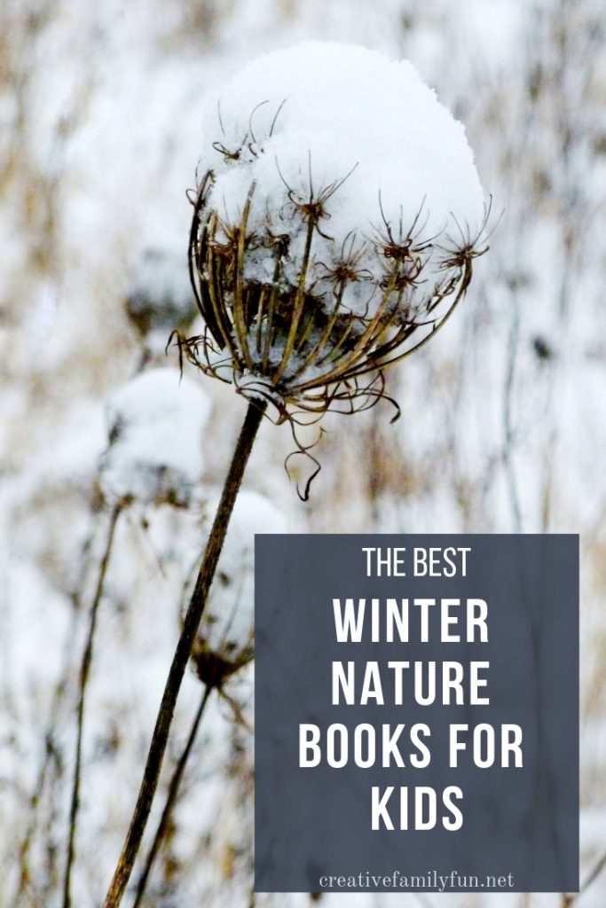 When the weather gets cold, grab some of these winter nature books for kids. They will definitely inspire you to get out and explore outside.