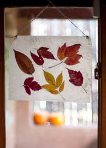 Autumn Stained Glass hanging in a window.