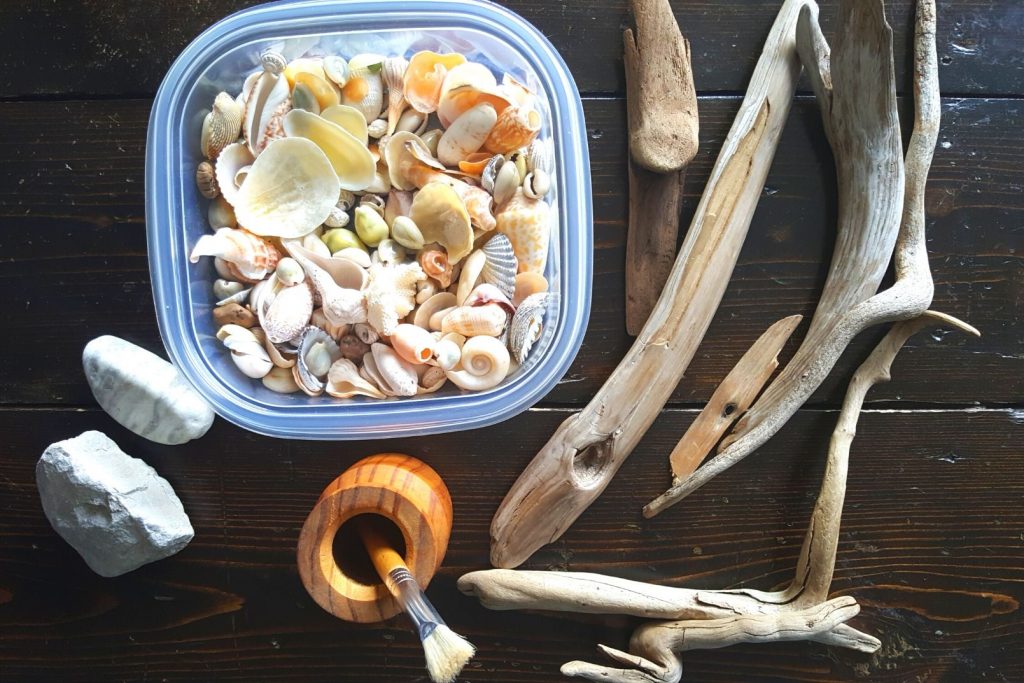 natural loose parts for play like sticks, shells, and rocks