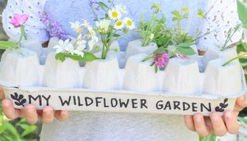 egg carton wildflower garden - toddler at play (3)