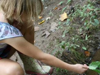 A picture containing person, outdoor, young

Description automatically generated