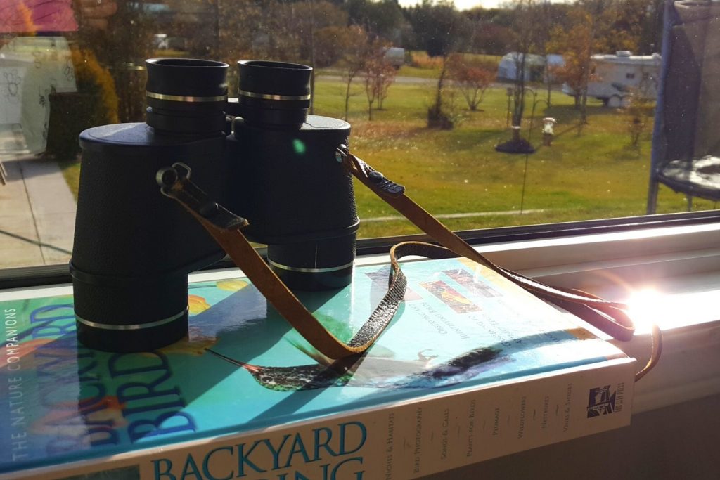 A pair of binoculars and a bird guide sitting on an indoor window ledge