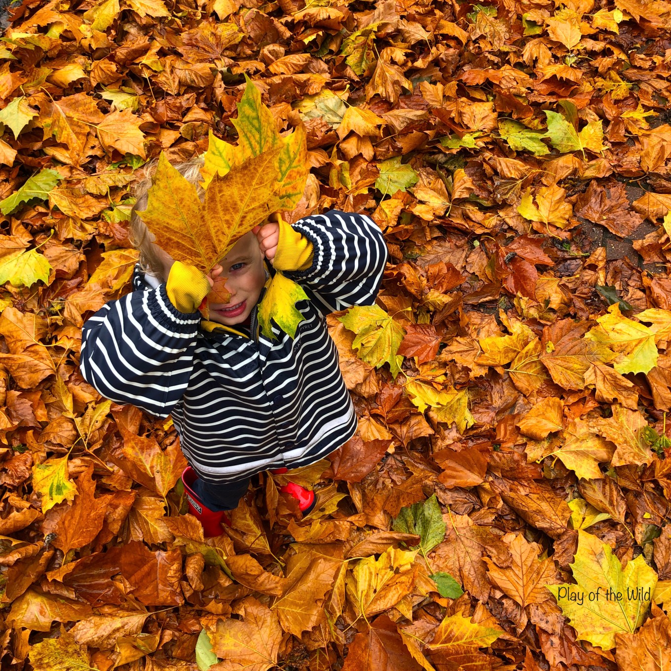 Outdoor Autumn & Winter Garden Activities for Children.  Collecting leaves for compost.
