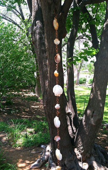 This may contain: a tree with shells hanging from it's branches