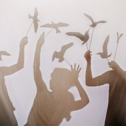 This may contain: the shadow of two people holding birds in front of a white wall with black background