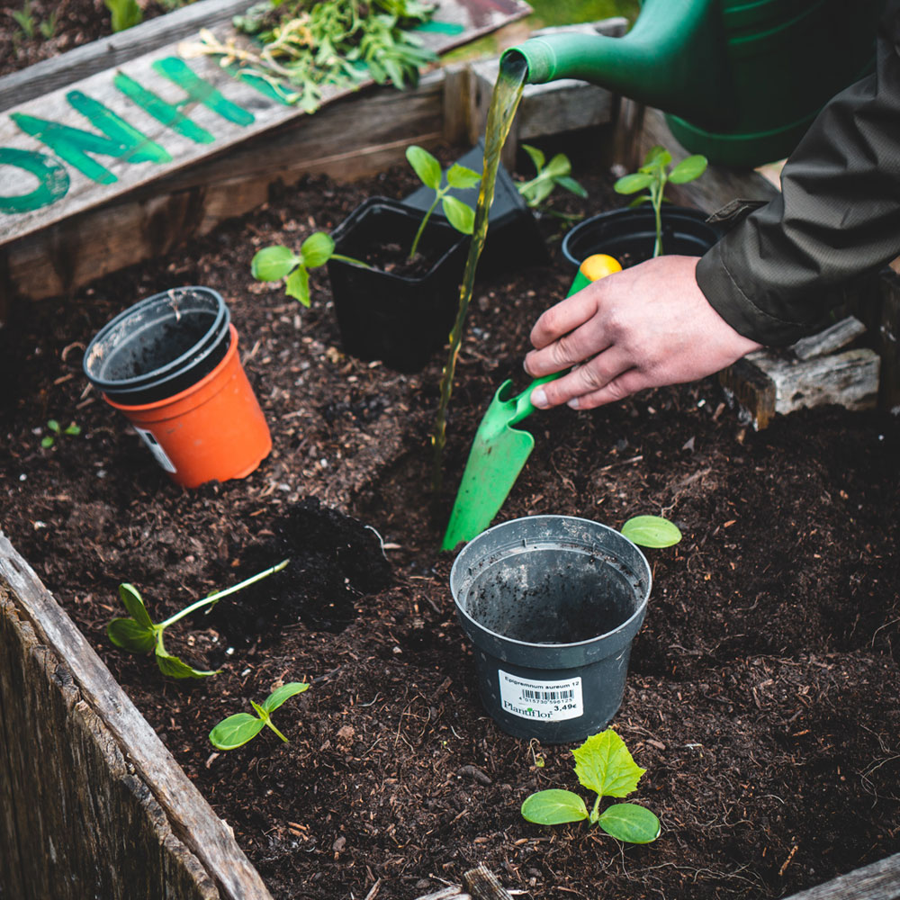 A boy using a plastic watering can to water a garden outside