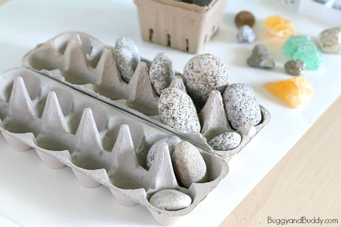 sorting rocks with egg cartons