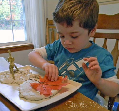 clay fossils 2