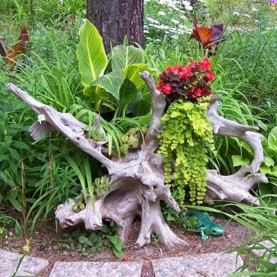 This may contain: a tree stump with flowers and plants growing out of it