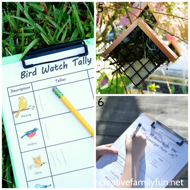 Get outside and learn while you explore nature in spring. Discover flowers, gardens, seeds, birds, animals, and plant science.