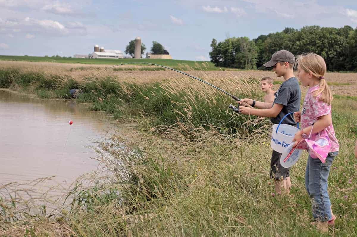 Exploring Ponds with Kids - hands on outdoor activities for kids at the pond