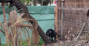 Sensory Garden Stories | Sensory Garden ...