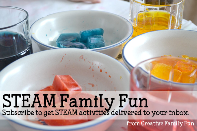 STEAM Family Fun Email List Sign Up