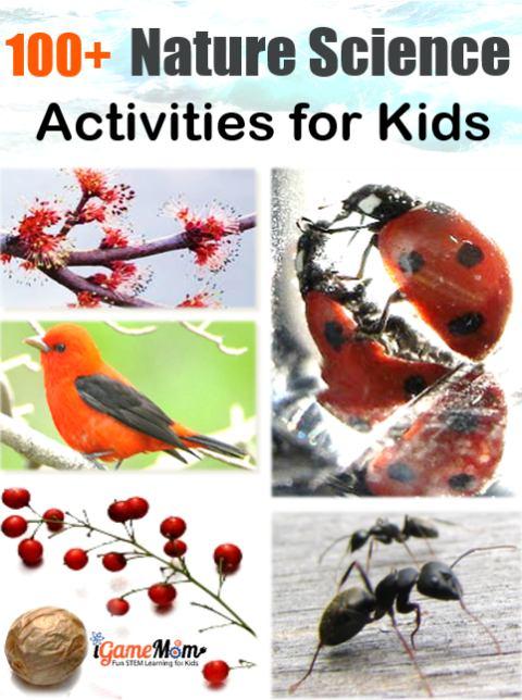 More than 100 nature science activities for kids from preschool to high school: water, ice, weather, seed, flower, pine cone, … wonderful STEM resource to keep kids busy all year long. All are simple outdoor and indoor science experiments, for science study in the classroom, or at home in the backyard, in the garden, or in the kitchen, great for sparking children's scientific curiosity and fostering the love of nature.