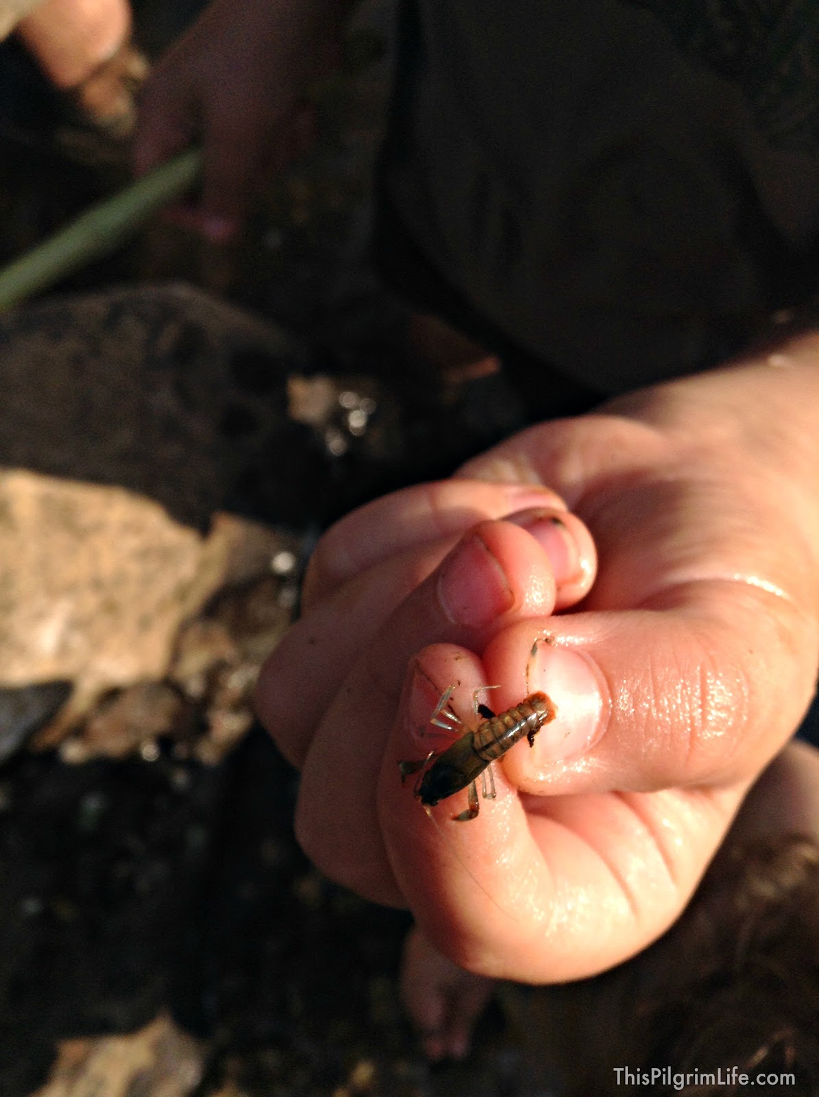 3 Reasons to Explore Wild Water with Kids & Tips to Keep Everyone Safe and Having Fun