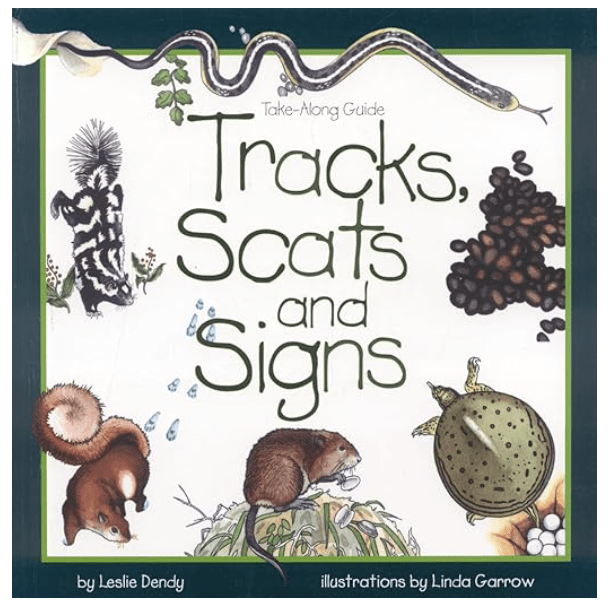 nature book for toddlers