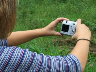 A picture containing grass, person, outdoor

Description automatically generated