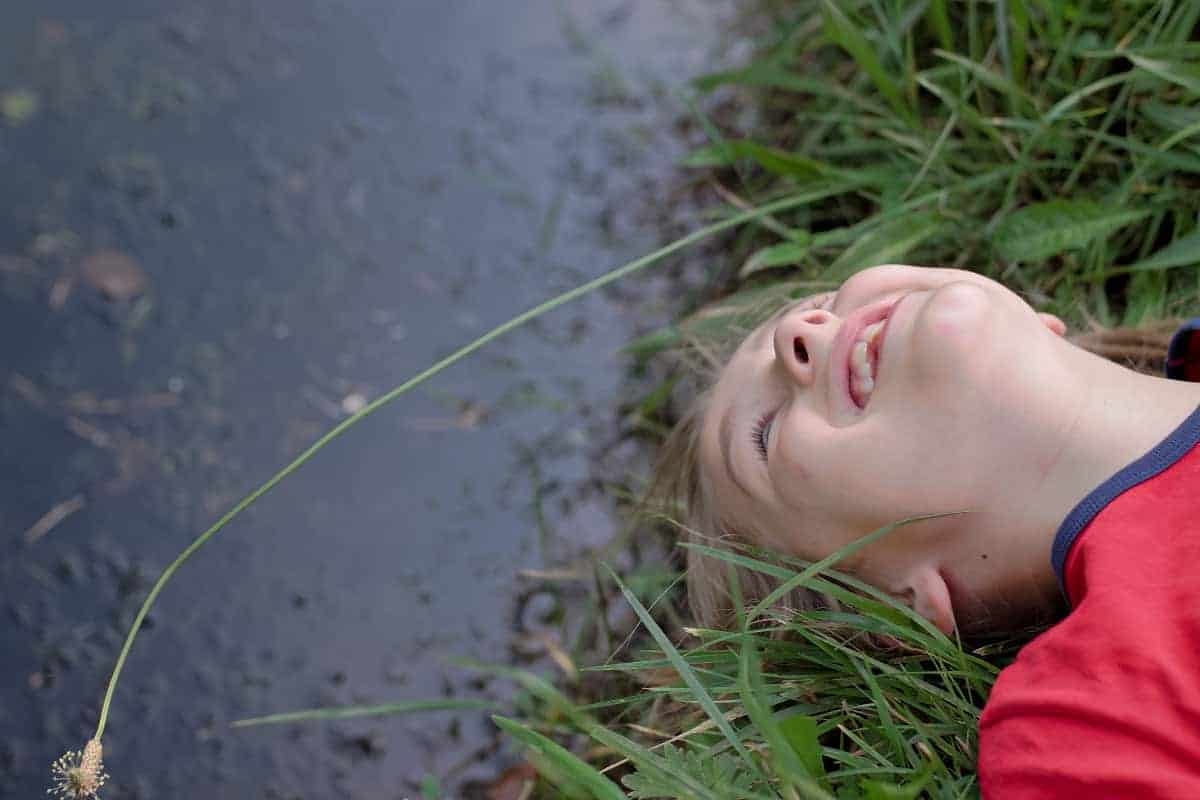 Pond life nature guides for kids