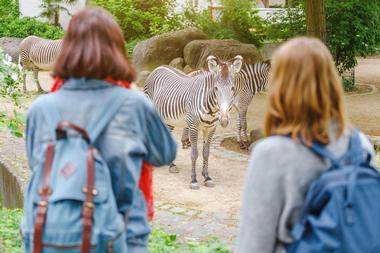 Sierra Safari Zoo