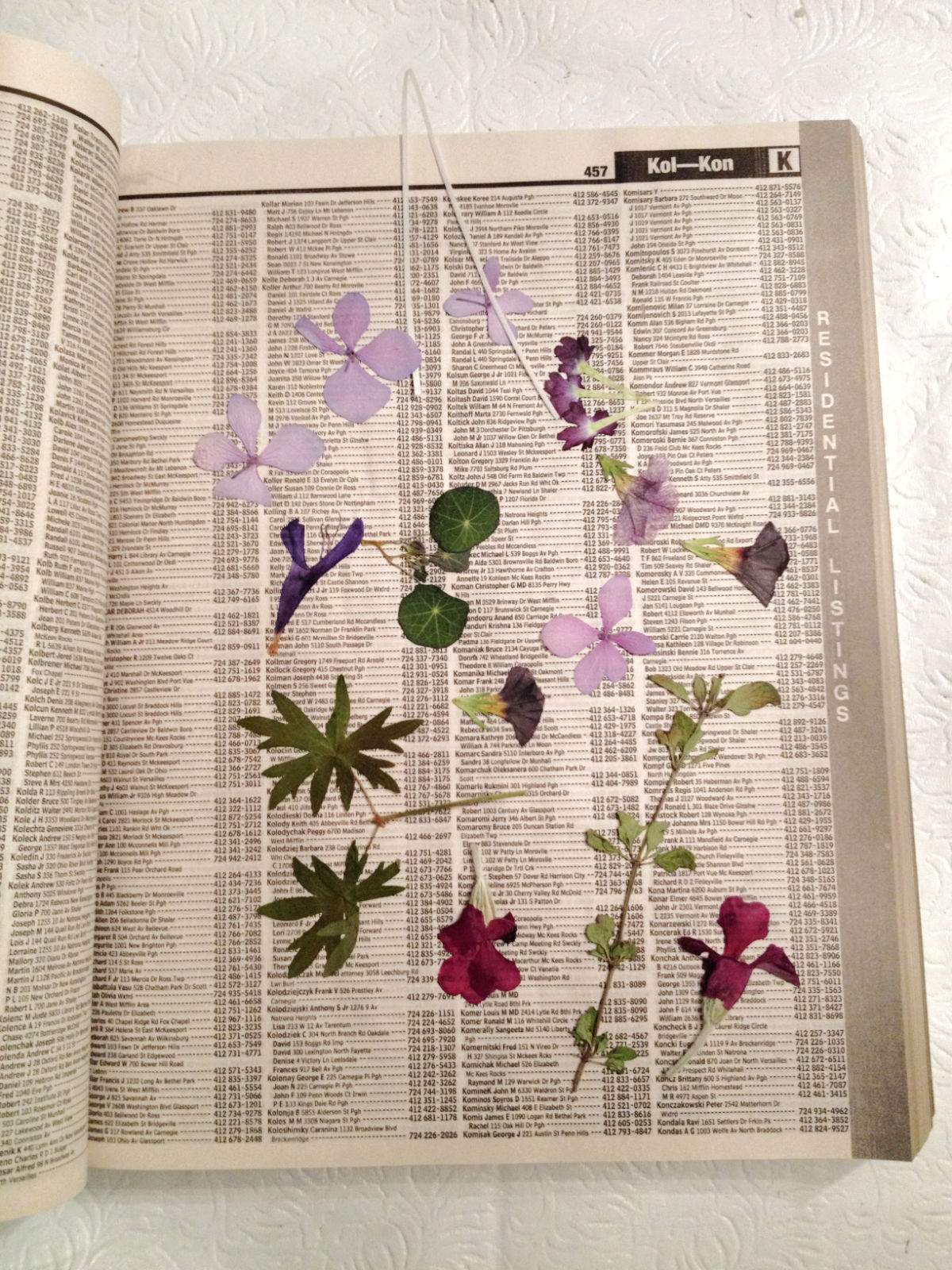 Pressed flowers in a phone book.