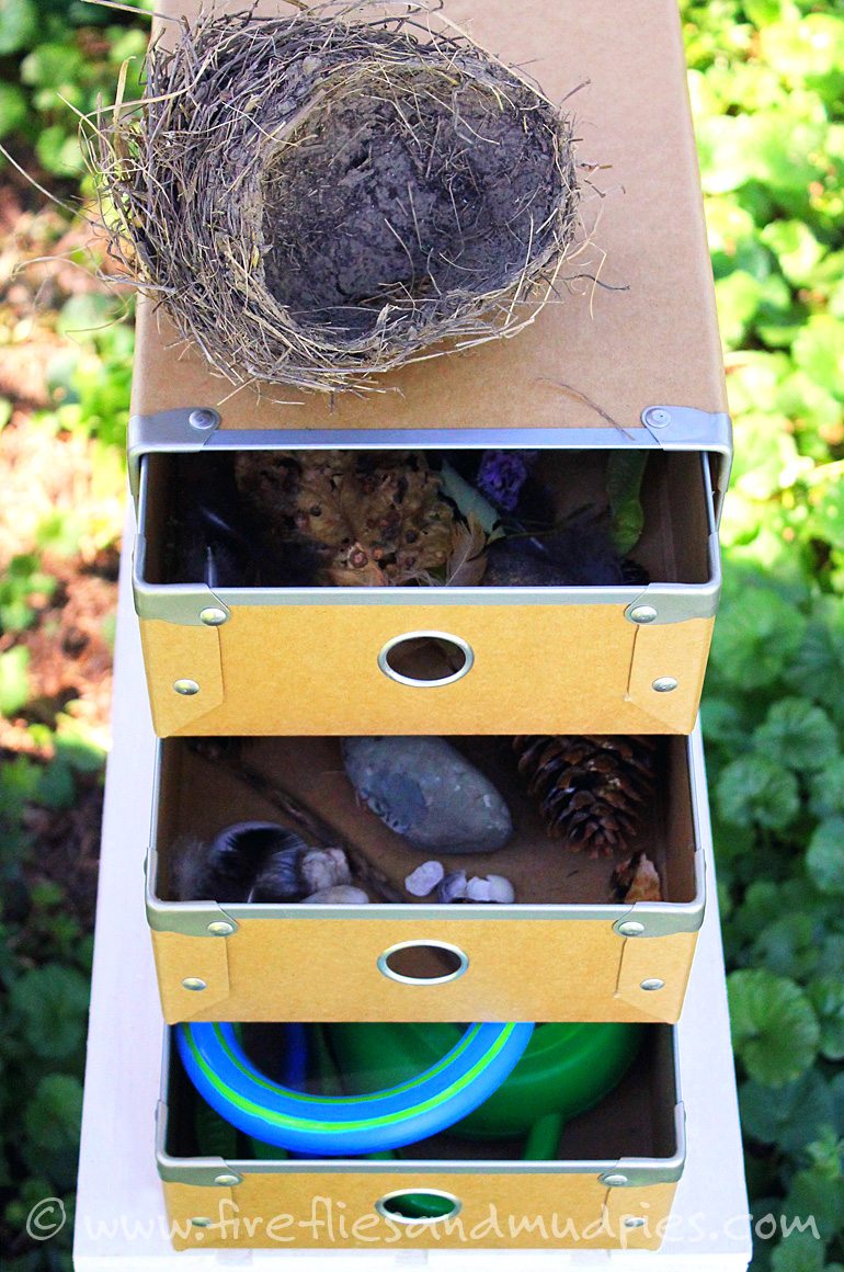 Kid's Nature Collection | Fireflies and Mud Pies