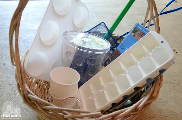 How to catch Waterbugs