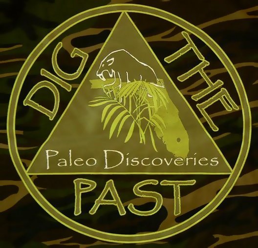 Fossil Hunting Tours in Florida