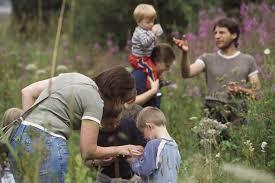 Bug Safari Challenge | Go on a Bug Safari - The RSPB