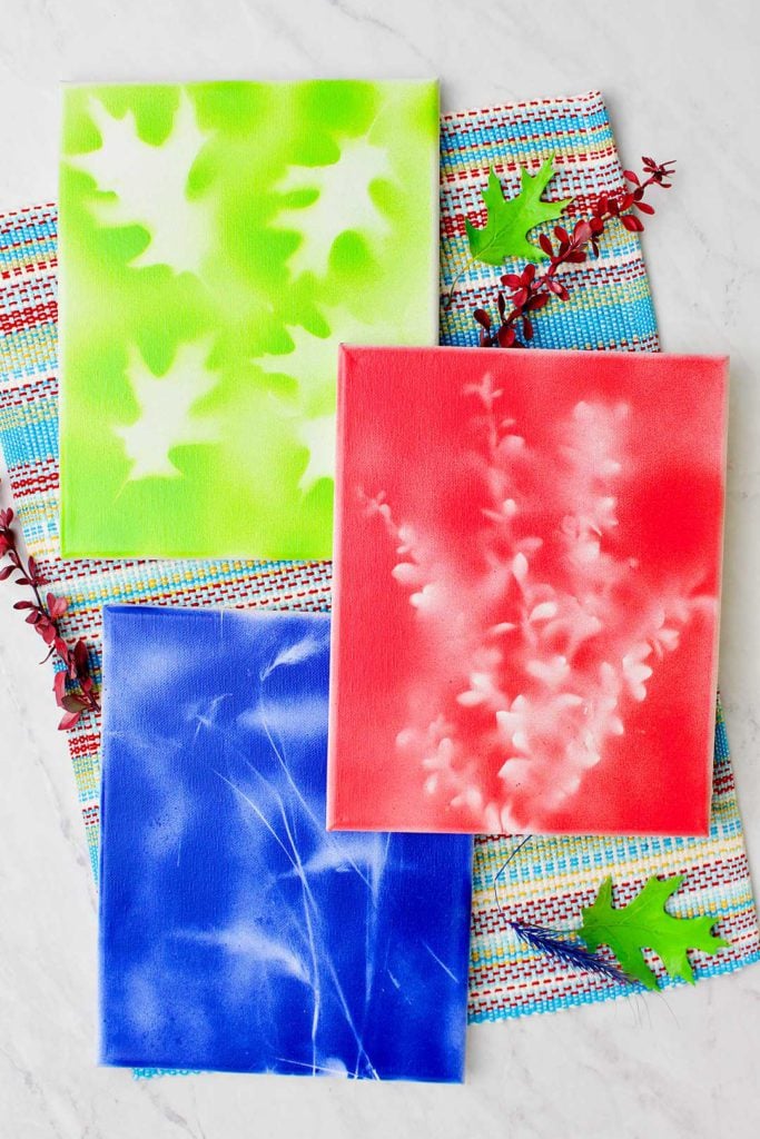 Three completed botanical canvas paintings on a multi colored woven mat.