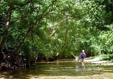 Exploring new Creeks with Kids